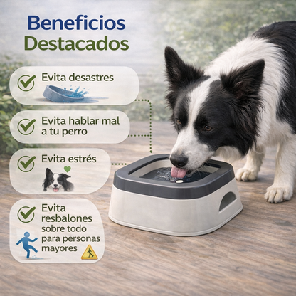 Spritzgeschützter Wassernapf für Haustiere