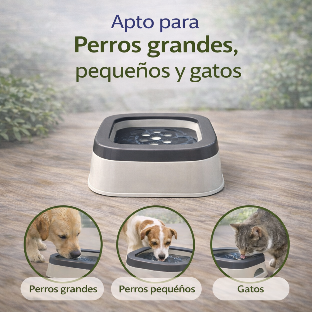 Bebedero Antisalpicaduras para mascotas